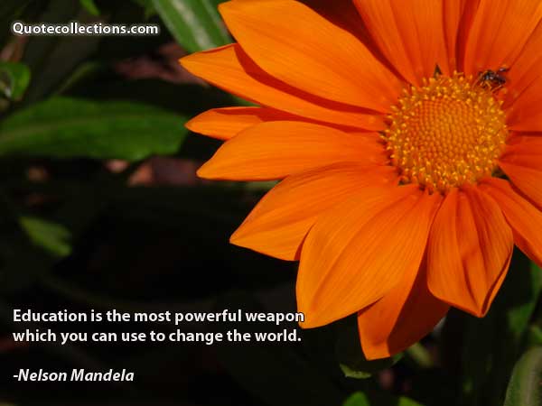Nelson Mandela Quotes4